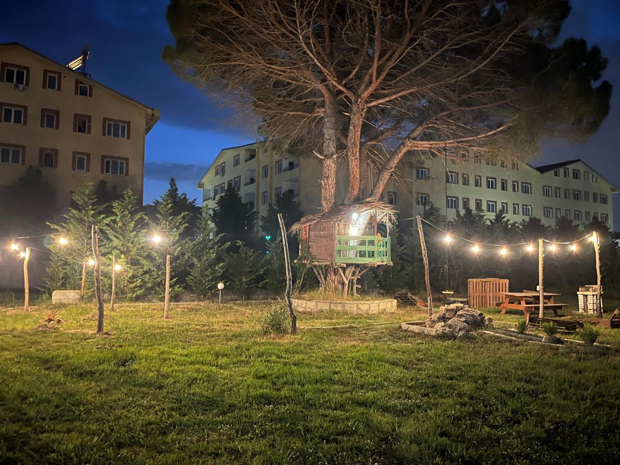 Family Tree - Quiet Area - Self Check In Aparthotel Голем Екстериор снимка